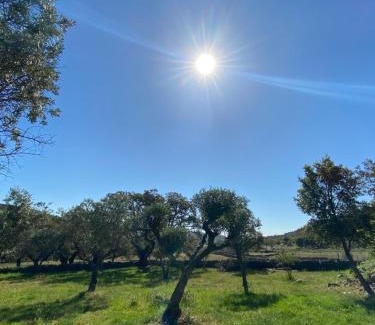 San Vicente de Alcantara Casa | Casa La Rocita