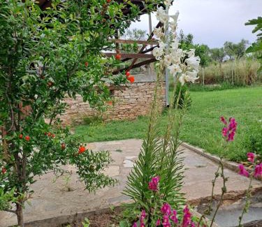 Ivaylovgrad Casa | Casa Lambuh