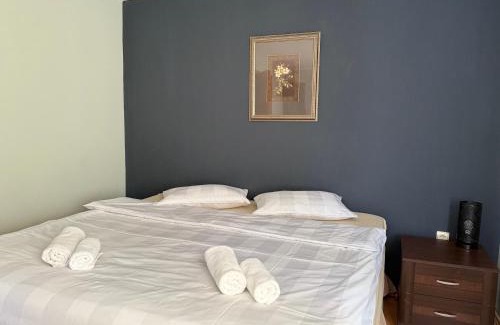 Borsa Casa | Casa Larisa Borsa