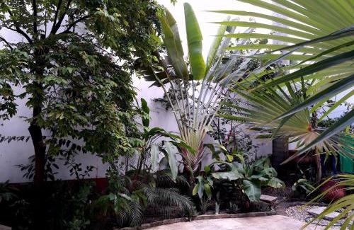 Sao Luis Historical Center Casa | Casa Lavinia