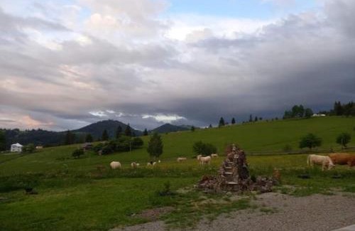 Dorna Candrenilor Casa | CASA LENA -VATRA DORNEI