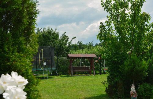 Albestii Paminteni Casa | Casa Leu