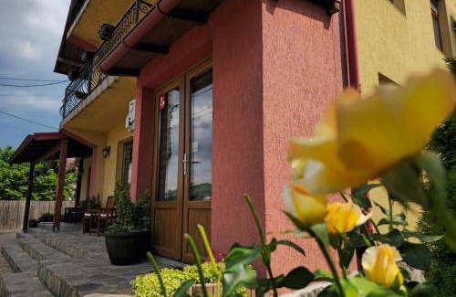 Albestii Paminteni Casa | Casa Leu