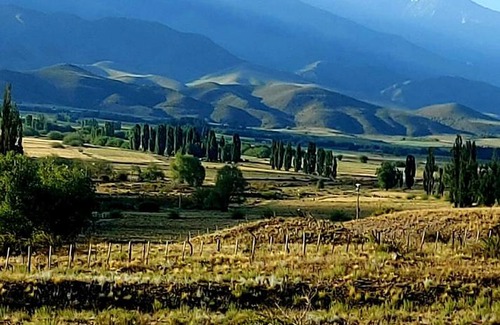 Tupungato Casa | Casa Los Coirones