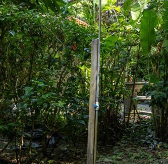 Chiguata Apartamento | Casa Lulú