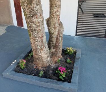 Bonito Casa | Casa Luna da Boa vista