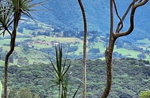 Roble Chalet De Esquí | Casa Luna Poás Costarica