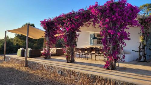 Formentera Casa | CASA MAGALI