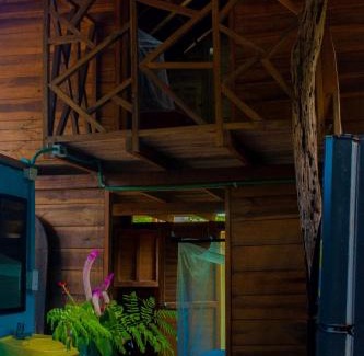 Palomino Casa | Casa Magia