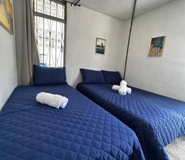 Zona 12 Casa | CASA MAGNOLIA