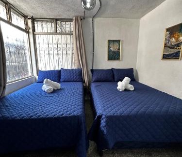 Zona 12 Casa | CASA MAGNOLIA