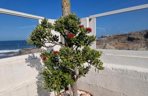 O Rosal Casa | CASA MAR DA LAXE