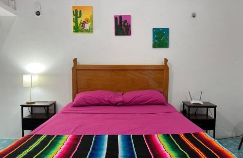 Colonia Independencia Apartamento | Casa Margarita Mexican Warmth Await!