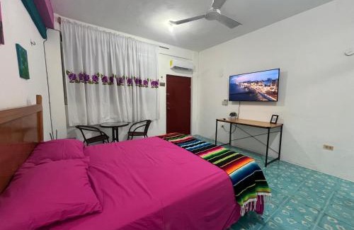Colonia Independencia Apartamento | Casa Margarita Mexican Warmth Await!
