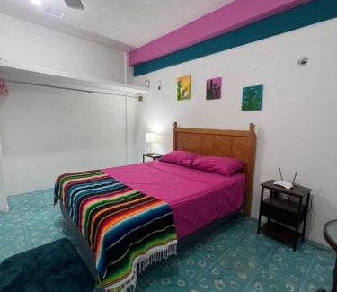 Colonia Independencia Apartamento | Casa Margarita Mexican Warmth Await!