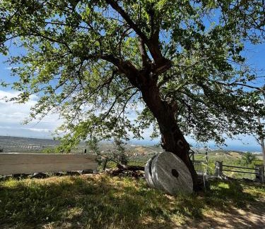 Rossano Casa | Casa Maria Host Green - Casa vacanze - Rossano