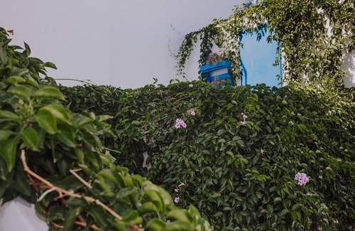 Los Llanos Casa | Casa Marita, con Amplia Patio, en Calle Peatonal, a Cien Metros del Centro