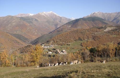Buira Casa | Casa Masover