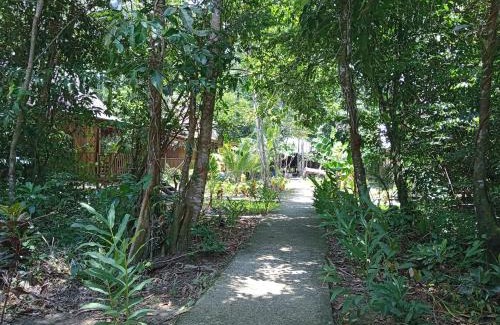 Puerto Barrios Cabina | Casa Maya