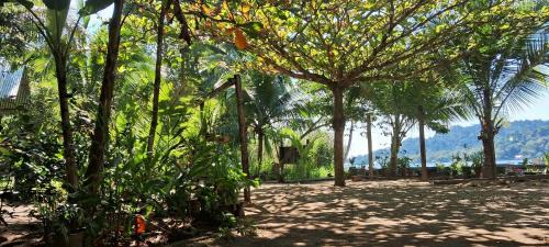 Puerto Barrios Casa | Casa Maya
