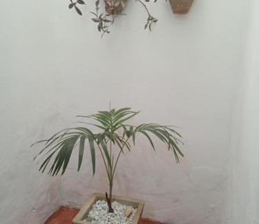Camocim Casa | Casa MD