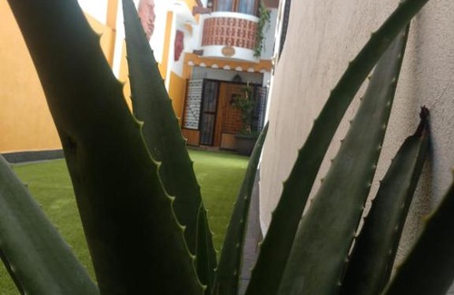 Villa de Guadalupe Casa | Casa Mexicana Patio