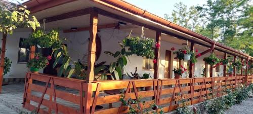 Plopul Casa | Casa Militaru