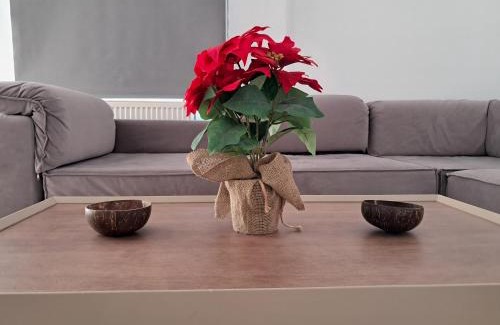 Gefira Mpania Apartamento | Casa Miranda
