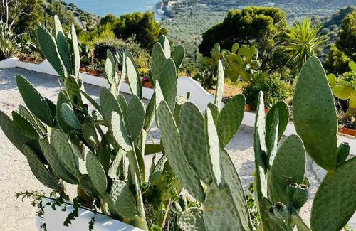 Mattinata Casa | Casa Molo 13