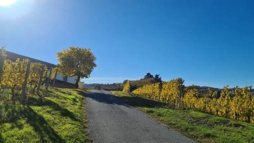 Canelli Apartamento | Casa Monforte