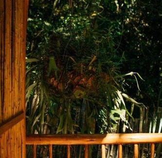 Ilha Grande Apartamento | Casa na Vila de Abraão