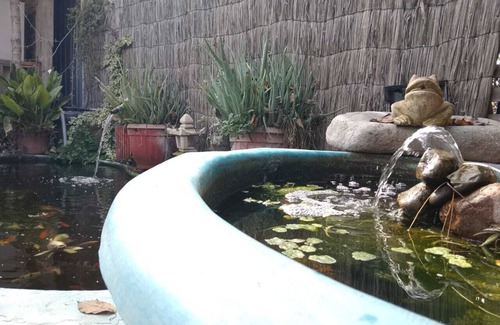 Paine Casa | Casa Niwa Koi Entre Peces