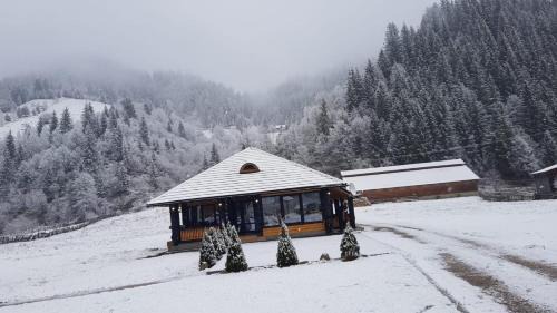 Pojorita Casa | Casa Obcina Bucovinei