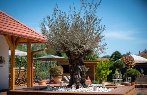 Tokaj Apartamento | Casa Oliva Tokaj