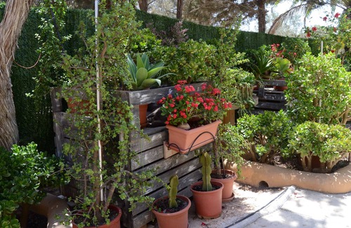 Formentera Casa | Casa Paco con Aire acondicionado, gran patio con jardín, Wifi y Tv por cable
