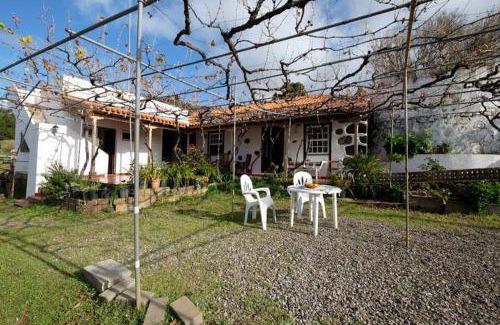 Santo Domingo Casa | Casa Pancha