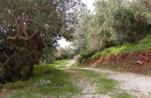 Castelluzzo Casa | Casa panorama