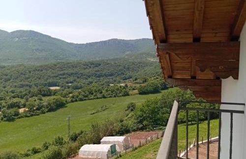 Arce Casa | Casa Parriola etxea