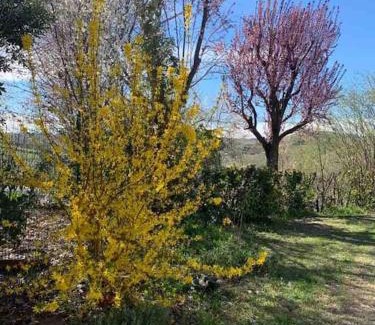 Monteu Roero Apartamento | Casa Pelerin - Monteu Roero