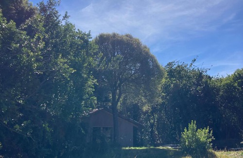Puerto Aysen Cabina | Refugio Casa Piedra