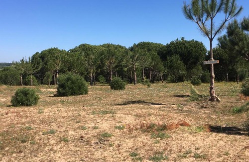 Cartaya Casa | Casa Pilila, Alojamientos El Rompido