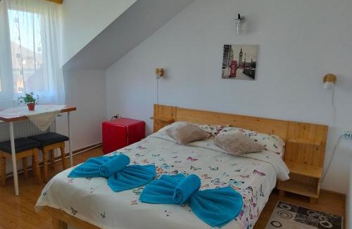 Gura Humorului Casa | Casa Popa