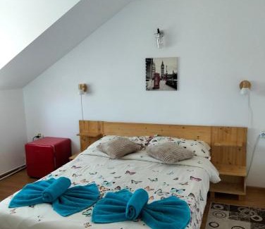 Gura Humorului Casa | Casa Popa