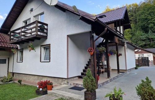 Cartisoara Casa | Casa Popa’s