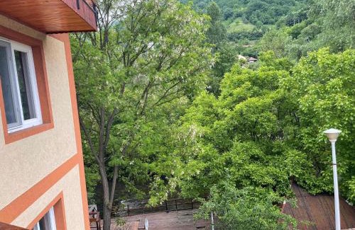 Baile Herculane Casa | Casa Princess