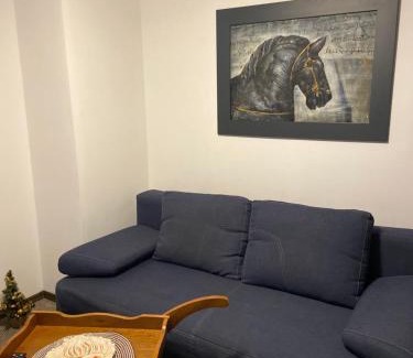 Brasov Villa | Casa Printre gradini