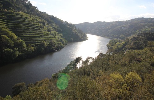 Baiao Otro | Casa Rústica no Douro, com Piscina e Churrasqueira