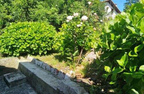 Llamigo Casa | Casa Raquel