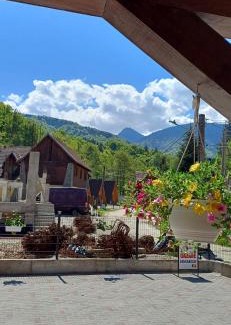Cartisoara Casa | Casa Reginei