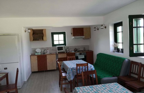 Sfantu Gheorghe Casa | Casa Renea